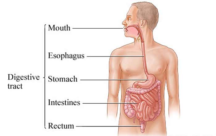 digestive tract infection smelly gas