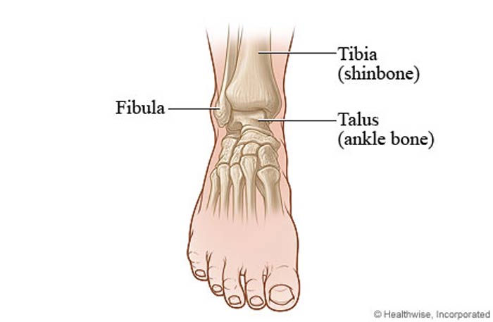 Bruises legs, toes heel